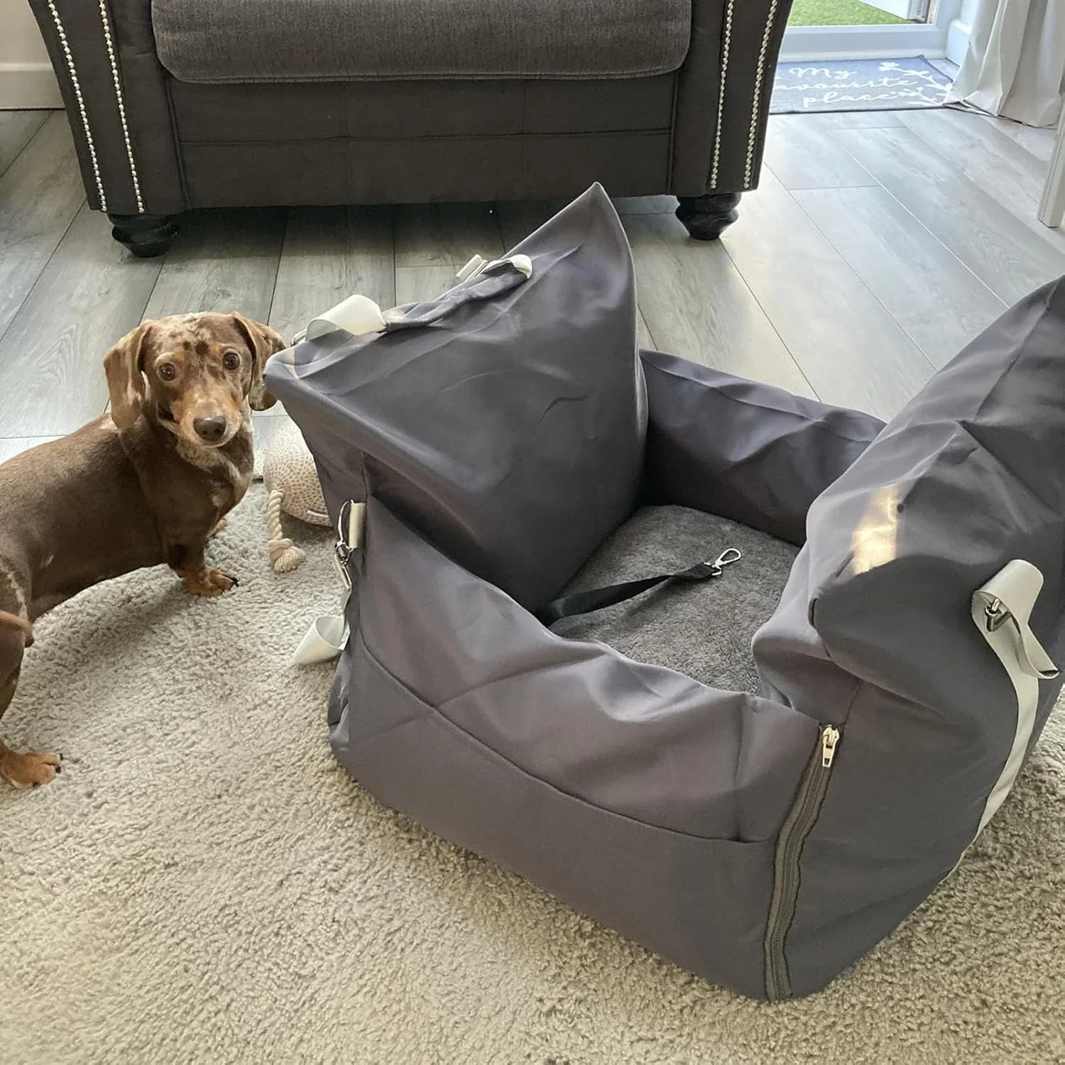 Lesure Small Dog Car Seat for  - огляд і ціна Car Accessories Under 100